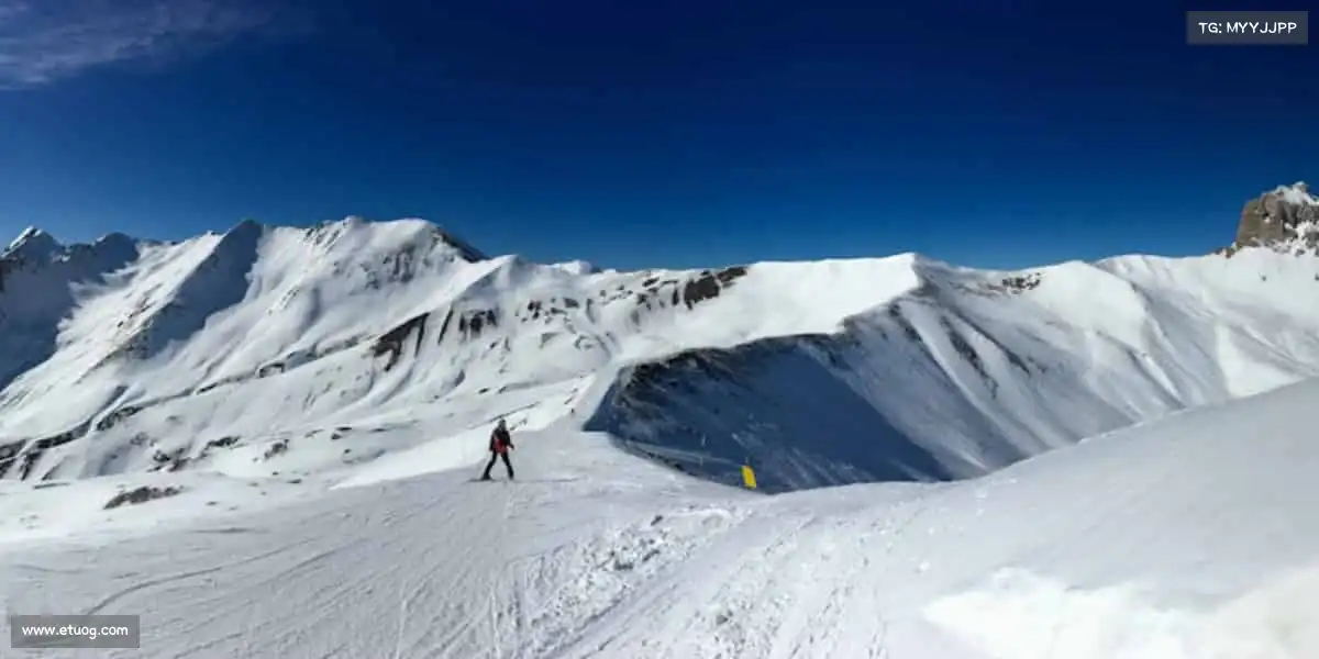 sg胜游亚洲体育——点燃运动热情，畅享无限可能！🏀